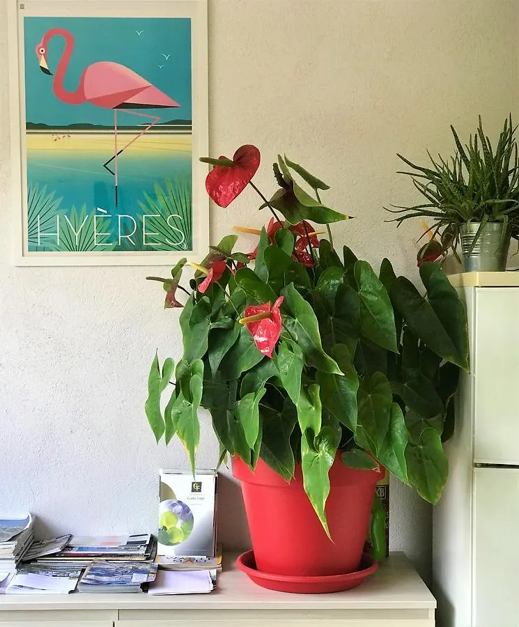 Bed & Breakfast Domaine De L'Aufrene Bed and Breakfast Hyères